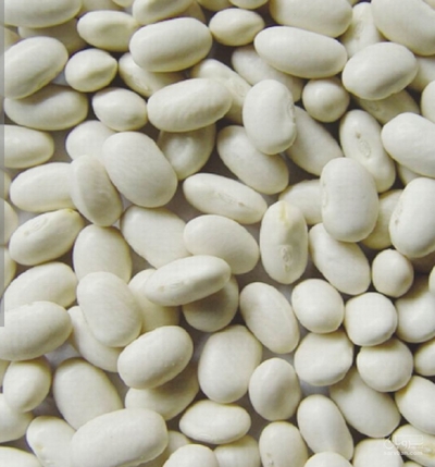 فروش لوبیا سفید