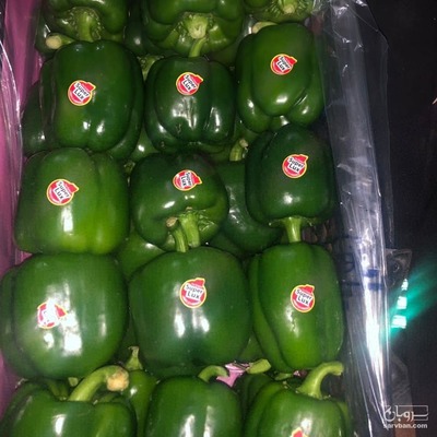 فروش فلفل دلمه ای