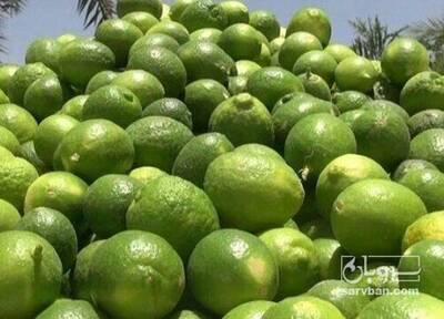 فروش لیموترش