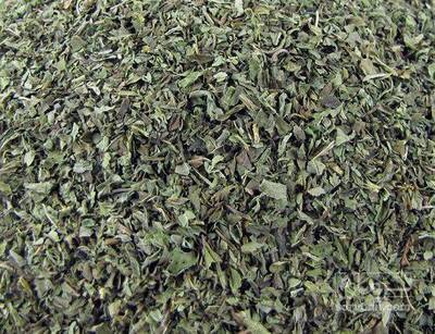 فروش نعناع خشک