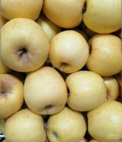 فروش سیب