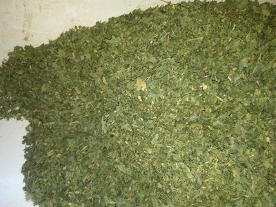 فروش  جعفری