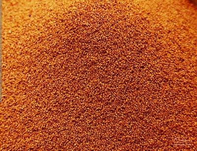 فروش خاکشیر