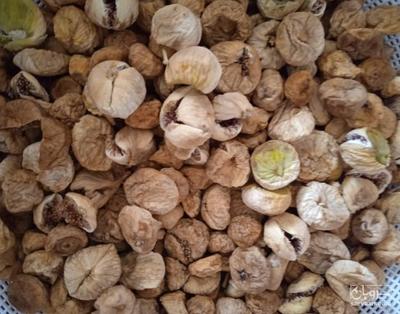 فروش انجیر خشک