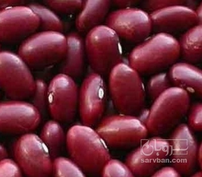 فروش لوبیا قرمز