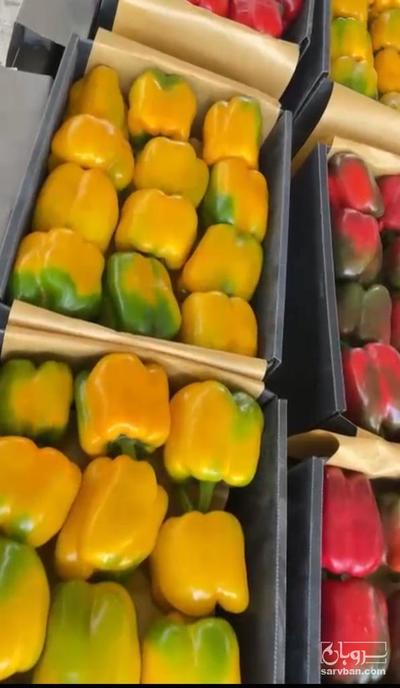 فروش فلفل دلمه ای