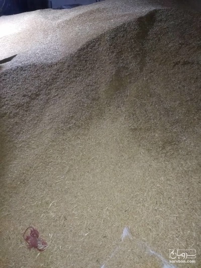 فروش جو پرک