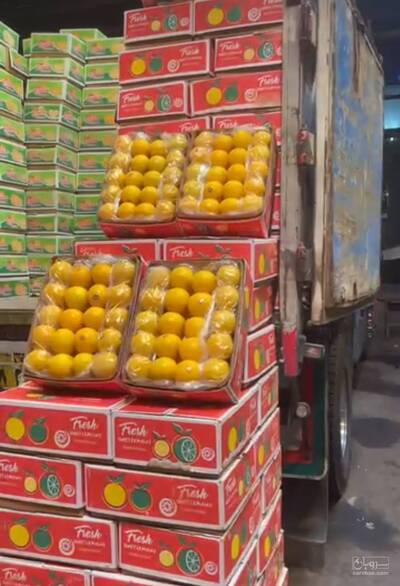 بار فروشی میلاد تدین