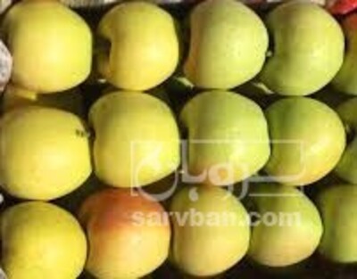 فروش سیب زرد