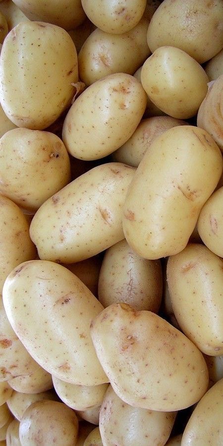 فروش سیب زمینی