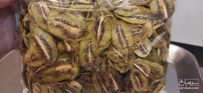 فروش کیوی خشک