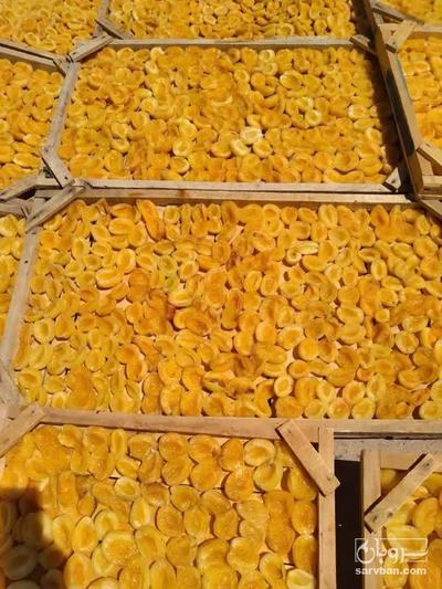 فروش برگه زردالو خشک