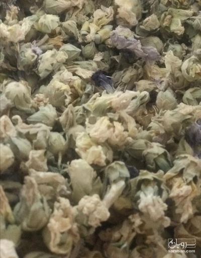 فروش گل سرشور