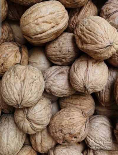 فروش گردو خشک