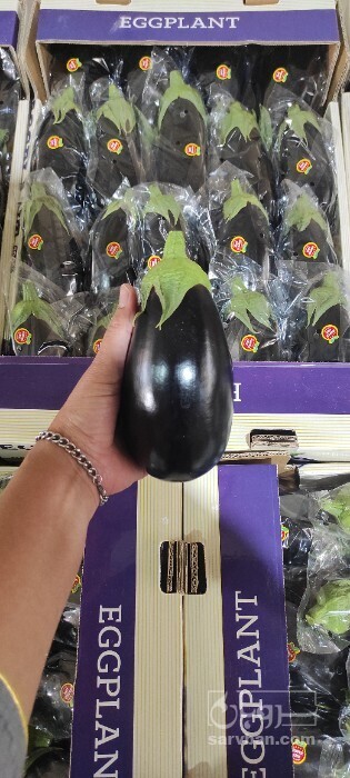 فروش بادمجان