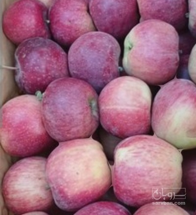 فروش سیب قرمز