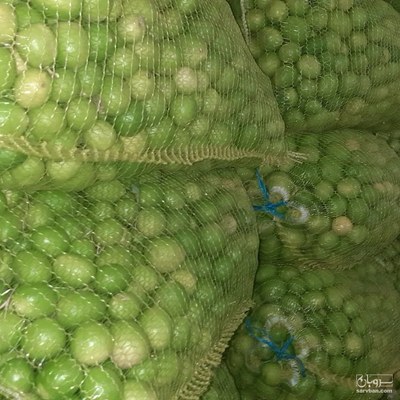 فروش لیموترش