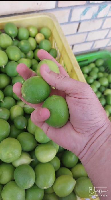 فروش لیموترش