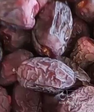 فروش خرما مضافتی