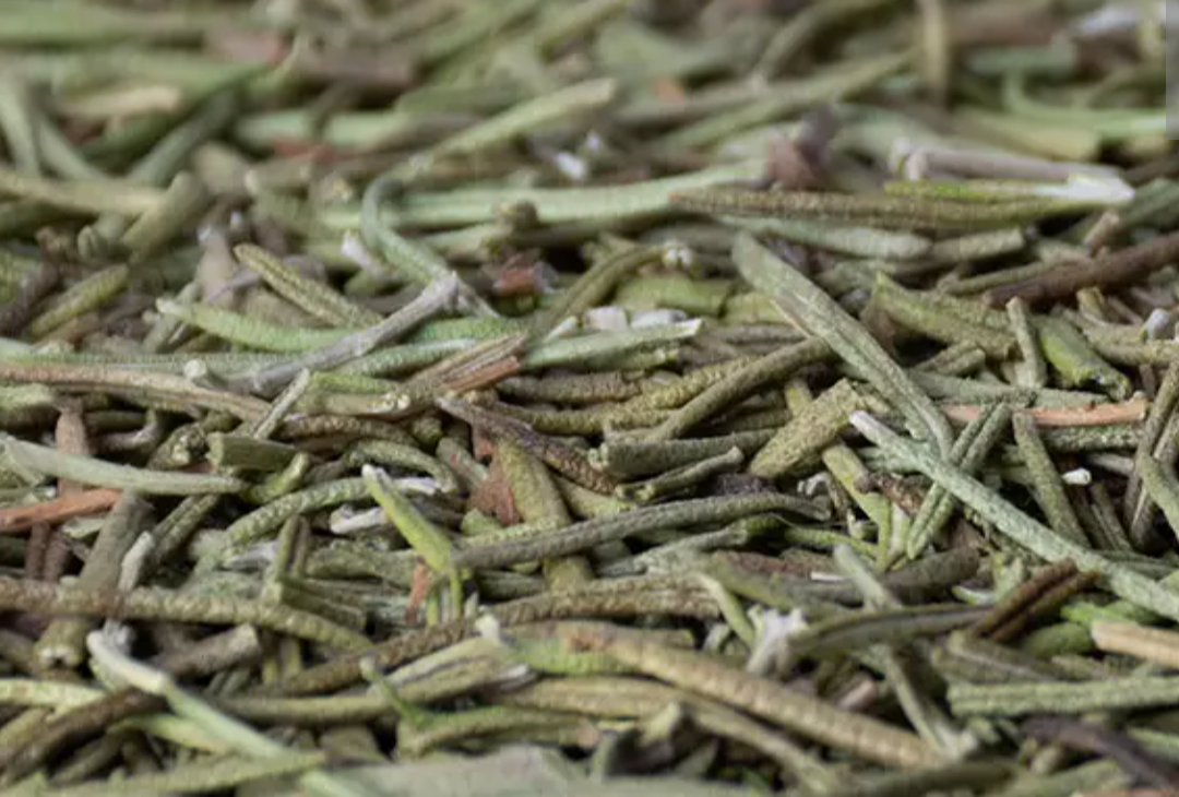 فروش رزماری