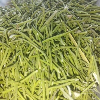 فروش عمده رزماری (گیاه‌ دارویی) برگ لوکس