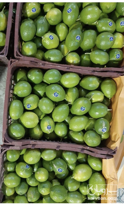 فروش لیموترش