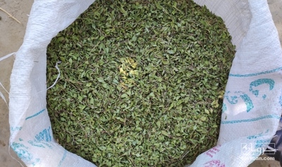 فروش کاکوتی