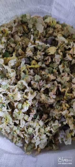 فروش گل ختمی زرد