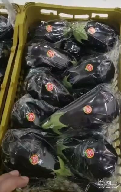 فروش بادمجان لامپی