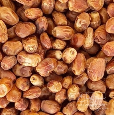 فروش خرما زاهدی