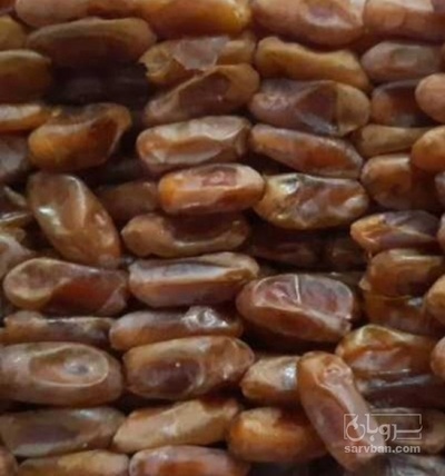فروش خرما شاهانی
