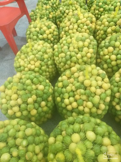 فروش لیموترش