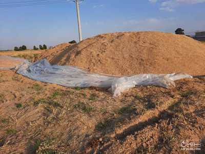 فروش کاه و کلش گندم