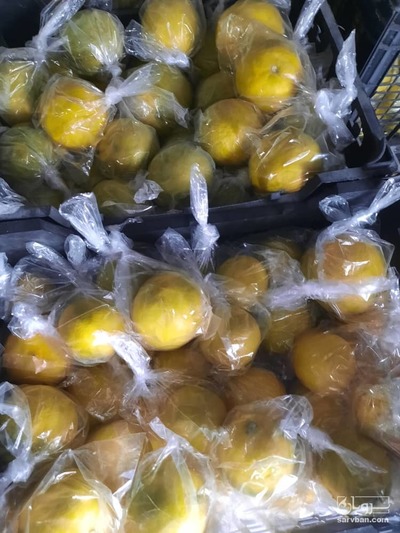 فروش لیمو شیرین