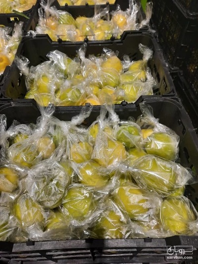 فروش لیموترش سنگی