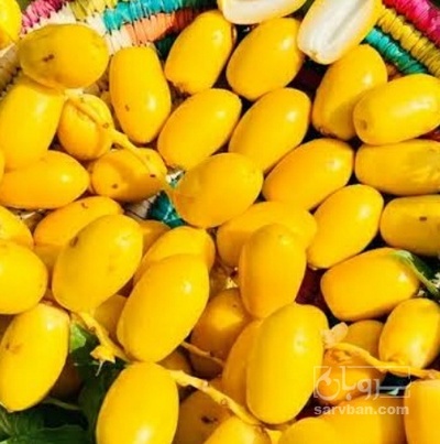 فروش خارک