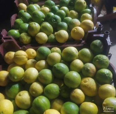 فروش لیموترش درجه یک