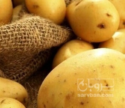 فروش سیب زمینی