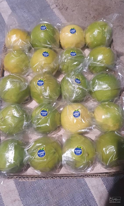 فروش لیمو شیرین