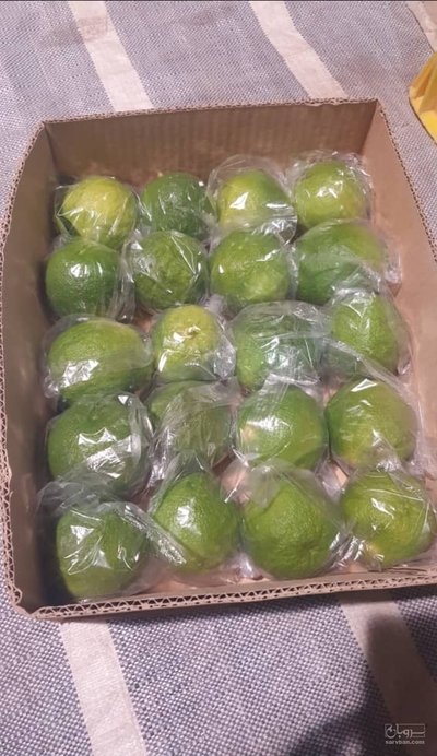 فروش لیموترش