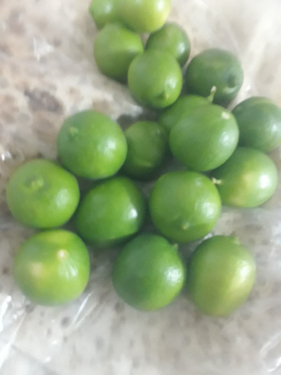 فروش لیموترش