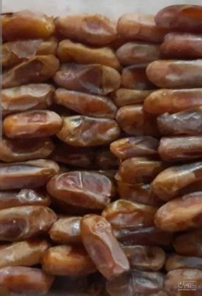 فروش خرما