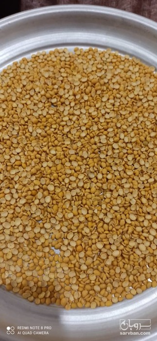 فروش نخود کفتری - لپه