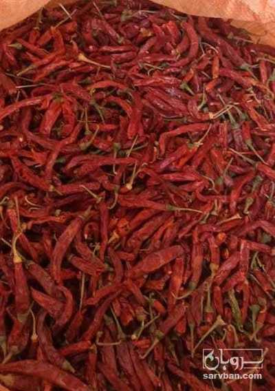 فروش فلفل قرمز خشک