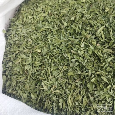 فروش نعناع خشک