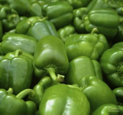 فروش فلفل دلمه ای