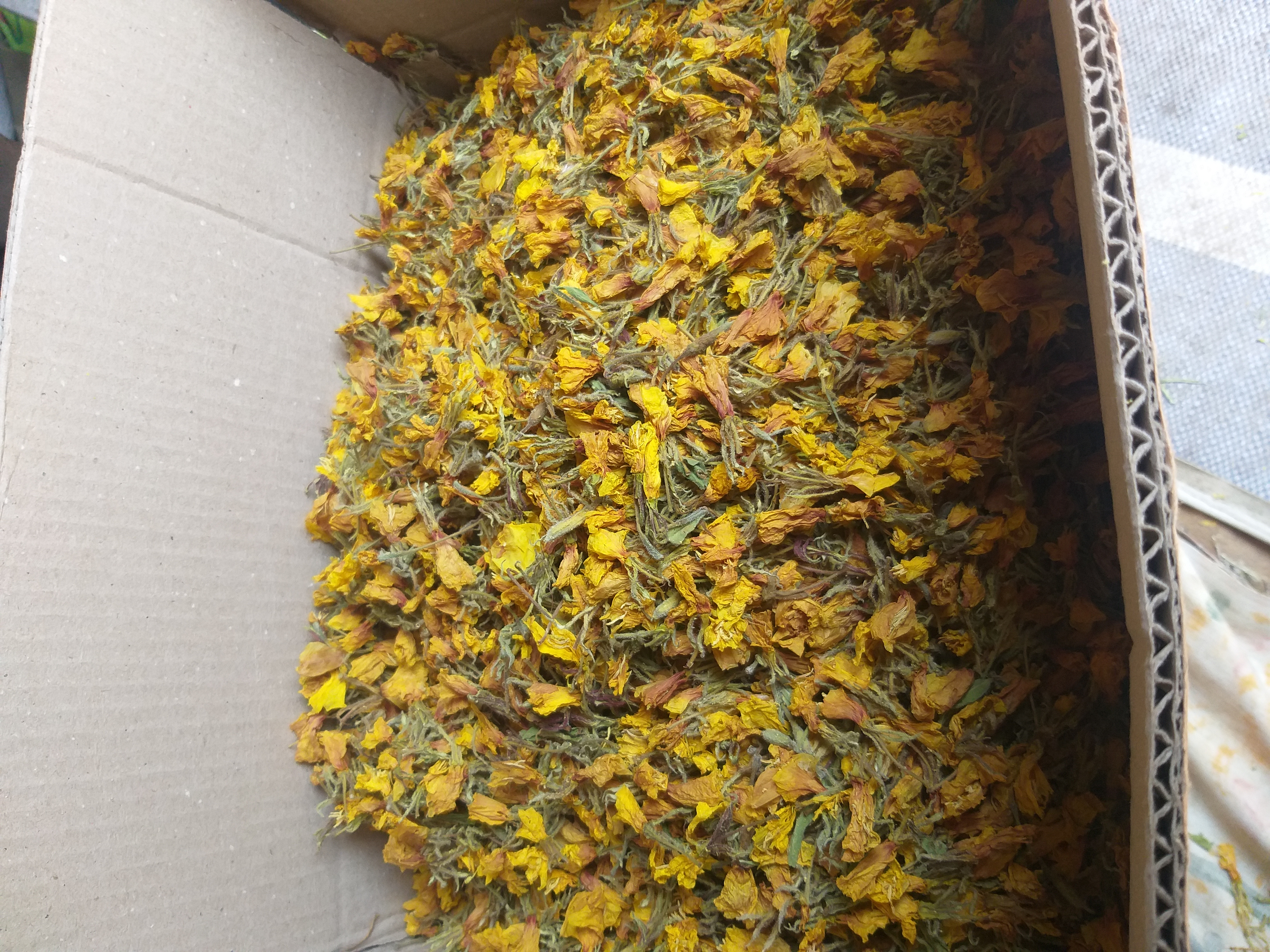 گل مغربی خالص  خشک  امساله پاک شده