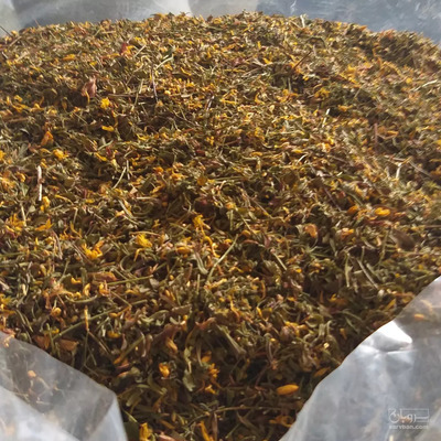 فروش  گل راعی (گیاه‌ دارویی) گونه پورفوراتوم