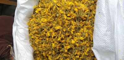 فروش گل مغربی (گیاه‌ دارویی)