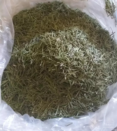 فروش رزماری (گیاه‌ دارویی)